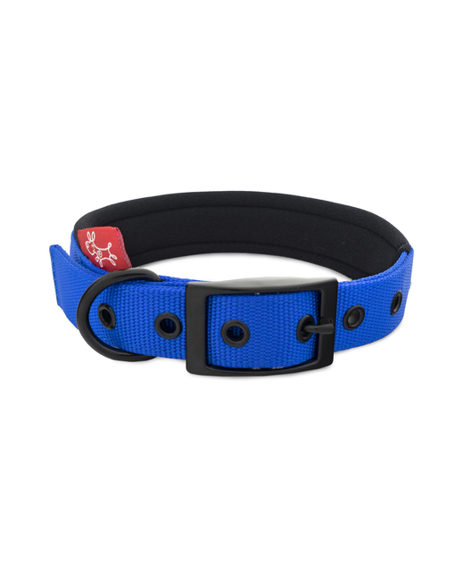 Yours Droolly Collar Foam Blue Small 31-42cm