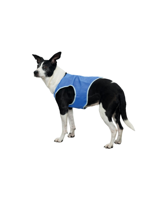 Trixie Cooling Vest XSmall