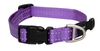 Rogz Collar Purple Medium 26-40cm 