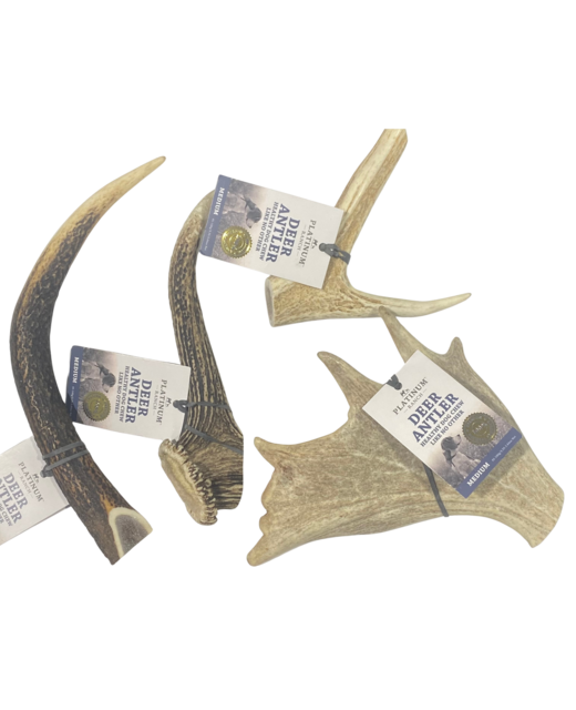Deer Antler Medium 