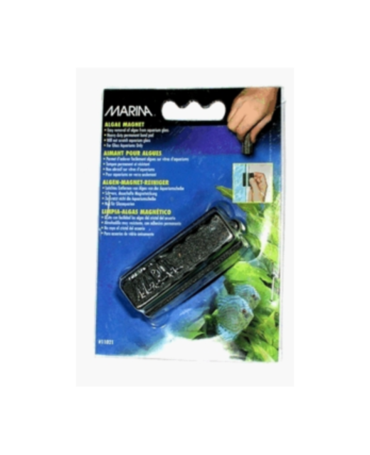 Marina Algae Magnet Small