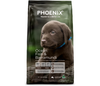 Phoenix - Puppy Large Breed Ocean Fish & Barramundi 3kg 