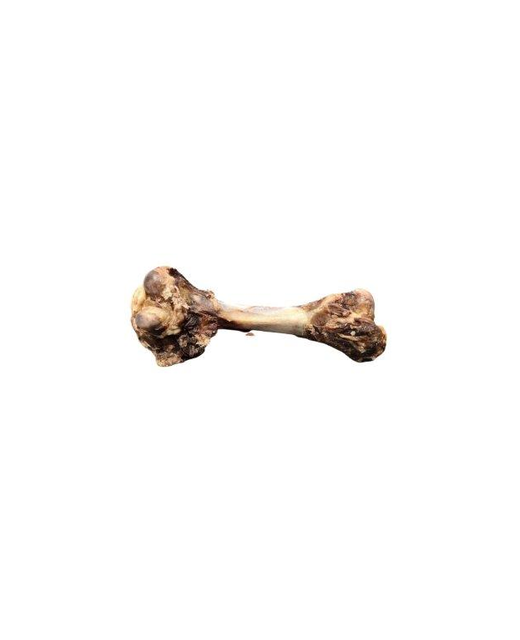 Lamb Femur Bone - Single