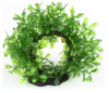 AquaWorld Plant Bonsai Halo 