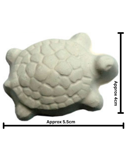 Brooklands Turtle Health Block (1pc)