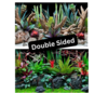 Seaview Desert Dream Deep Flora Aquarium background