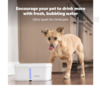 Petsafe Viva Fountain 4.1 Litre