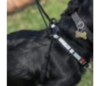 Mikki Anti-Pull Harness – Medium