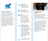 Capstar™ fast acting flea tablets for dogs 11.1-57kg