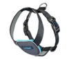 CarSafe Crash Tested Dog Harness Blue Large