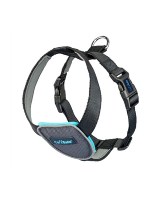 CarSafe Crash Tested Dog Harness Blue Large