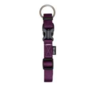 Zeus Adj Collar Med Royal Purple 1.5cm x 28-40cm