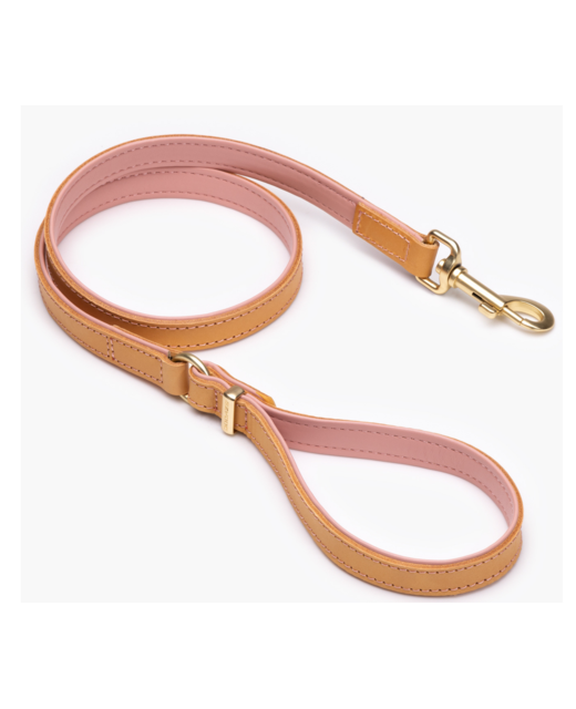 Ezy Dog Oxford Lead Blush