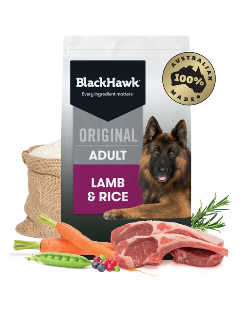 Black Hawk  Original Adult Lamb & Rice 10kg